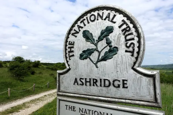 stock image National Trust Ashridge Estate sign with oak tree logo