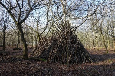 Sakin bir kış ormanı içinde ağaç dallarından inşa edilmiş el yapımı ahşap bir barınak. Geleneksel hayatta kalma metodları ve çalı ustalığının bir örneği..
