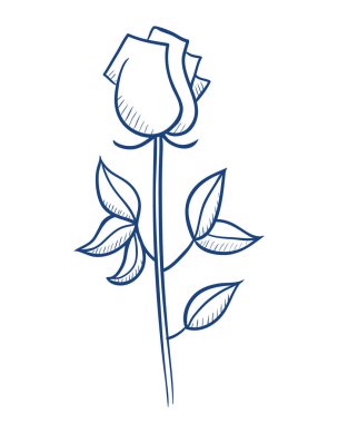 Gül. Doodle tarzı Sevgililer Günü illüstrasyonu.