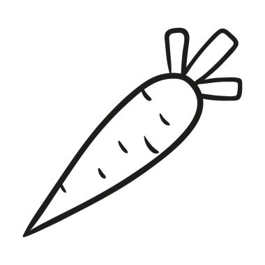 Carrots. Hand drawn vector illustration.
