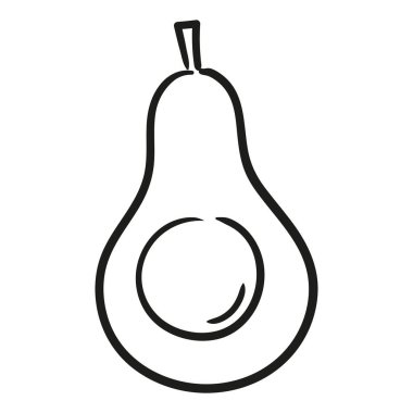 Avokado. Elle çizilmiş vektör illüstrasyonu.