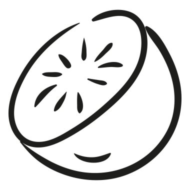 Kiwi. Hand drawn vector illustration.