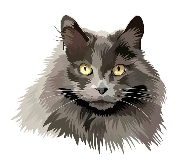 Портрет Серого Длинноволосого Кота Жёлтыми Глазами — стоковый вектор