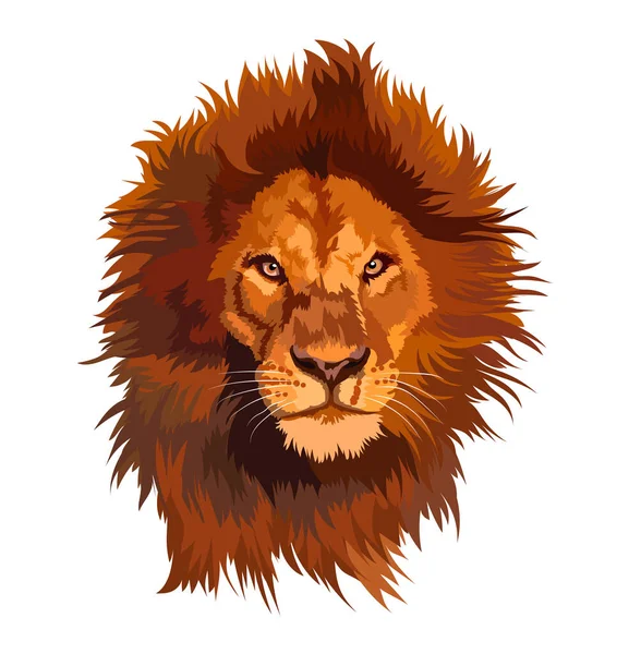 Portrait Lion Red Mane Transparent Background — Stock Vector