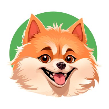 Yeşil arka planda bir Spitz köpeğinin portresi