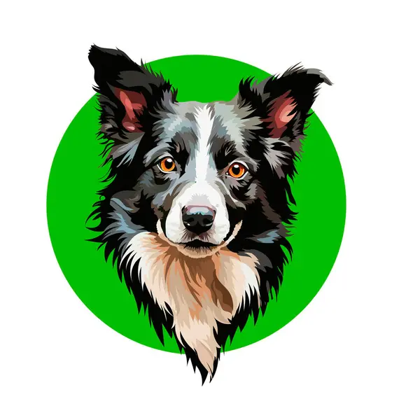 Yeşil arkaplanda bir Collie köpeğinin vektör portresi