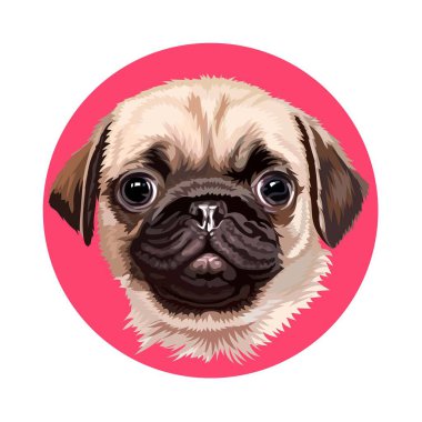 Kırmızı arka planda bir köpek yavrusunun vektör portresi