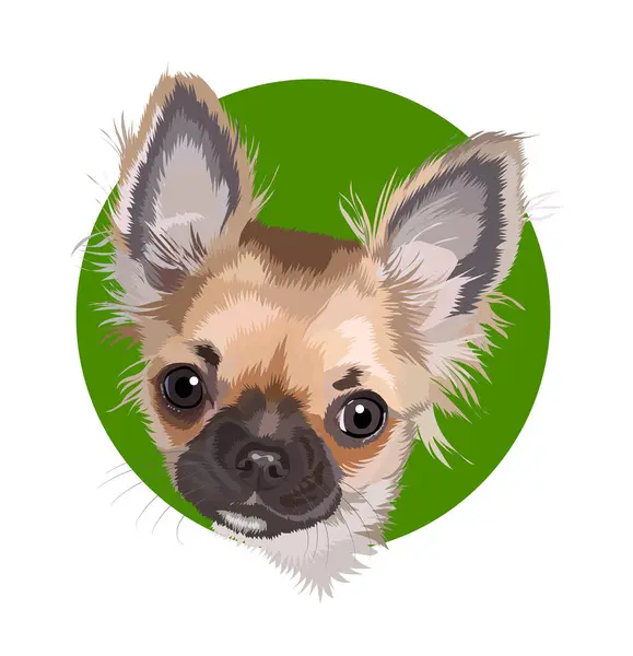 Yuvarlak Yeşil Arkaplanda Chihuahua Köpeğinin Vektör Portresi
