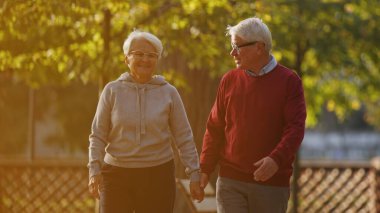 Smiling senior couple holding hands and walking in the park. High quality photo