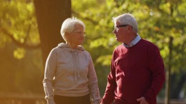 Loving old couple strolling through the park on a sunny day. High quality 4k footage