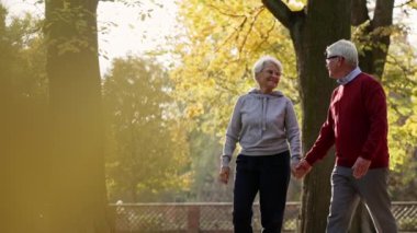 Loving old couple strolling through the park and holding hands. High quality 4k footage