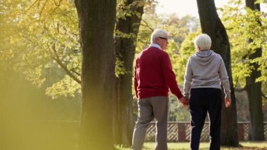 Back view of grey-haired senior couple strolling through the park . High quality 4k footage
