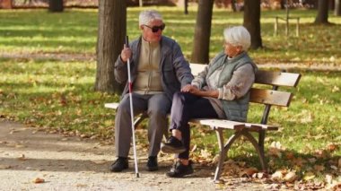 Blind senior man with sunglasses on and holding a crane with his wife on a bench in the park. High quality 4k footage