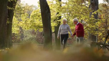 Smiling senior couple holding hands and walking through the park. High quality 4k footage