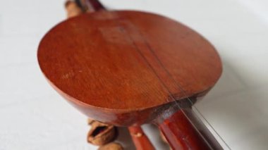 Ancient African violin. High quality 4k footage
