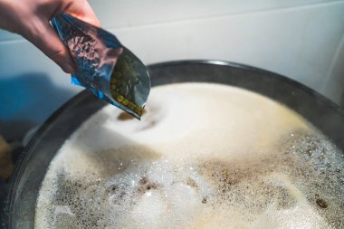 Hopping for bitterness, home beer brewing. High quality photo