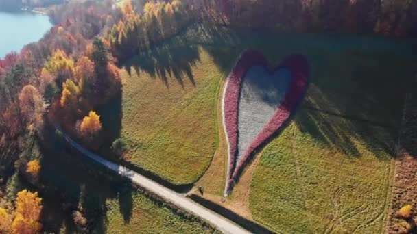 Bieszczady Güneydoğu Polonya Kalp Şeklinde Bir Alanın Insansız Hava Aracı — Stok video