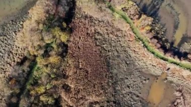 Bir tepenin kuş bakışı manzarası ve yakınında bir göl, Bieszczady Polonya. Yüksek kalite 4k görüntü