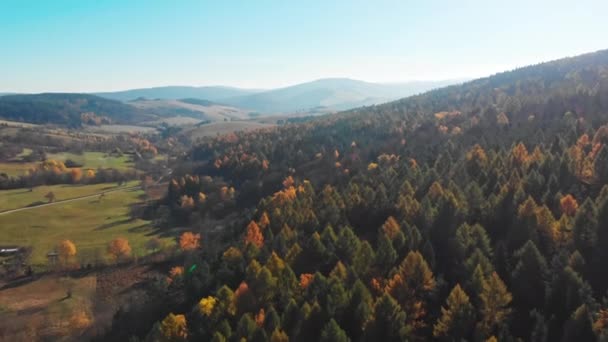 Widok Góry Piękne Lasy Góry Tle Bieszczady Polska Wysokiej Jakości — Wideo stockowe