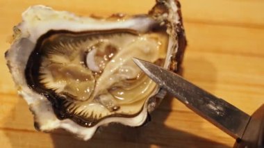 Prepared, high-quality and delicious seafood. Oysters ready to serve. High video quality. High quality 4k footage
