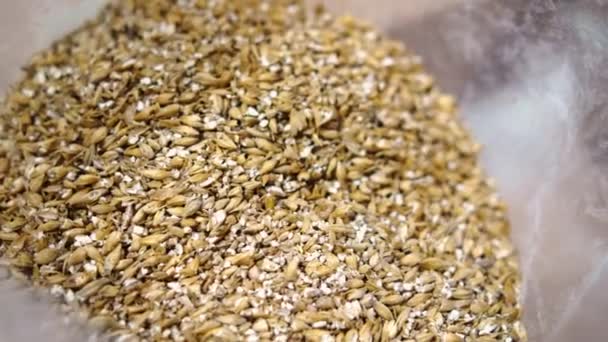 Barley Malt Grains Home Beer Brewing High Quality Footage — Vídeos de Stock