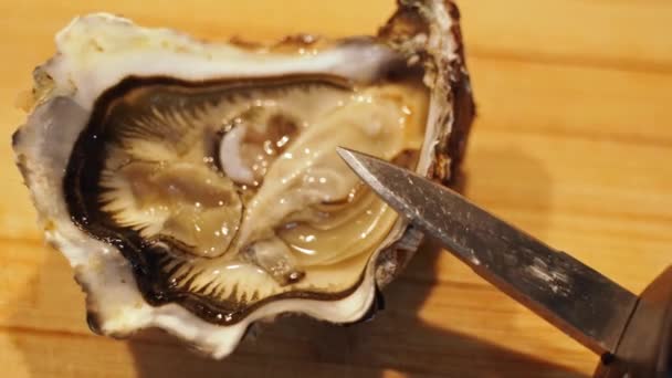 Připravené Vysoce Kvalitní Lahodné Mořské Plody Ústřice Jsou Připraveny Vysoká — Stock video
