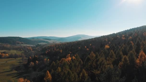 Przelot Nad Kolorowym Lasem Jesienny Słoneczny Dzień Bieszczady Polska Wysokiej — Wideo stockowe