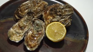 Tabağında limon olan dört istiridye, hassas bir yemek. Yüksek kalite 4k görüntü