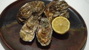 İstiridye ve limon, deniz ürünleri konsepti, seçkin yemekler. Yüksek kalite 4k görüntü