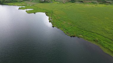 Bali ve Endonezya 'nın pirinç tarlaları.