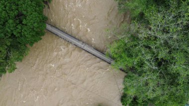 Ormandaki nehrin havadan görünüşü