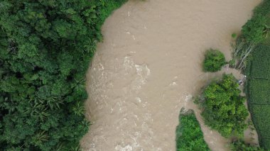 Ormanda güzel bir şelale
