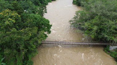 Ormandaki bir nehrin havadan görünüşü