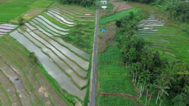 Bali, Endonezya - Kasım 11, 202: Bali 'nin turistik yerleri ve simgeleri