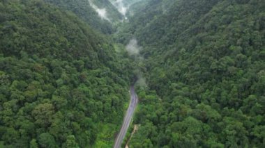 Yaz ormanındaki güzel dağ yolunun hava görüntüsü..