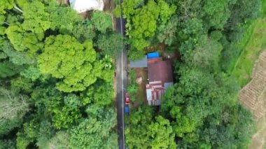 Yol ve ormanın havadan görünüşü