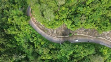 Ormandaki orman yolunda güzel bir manzara.