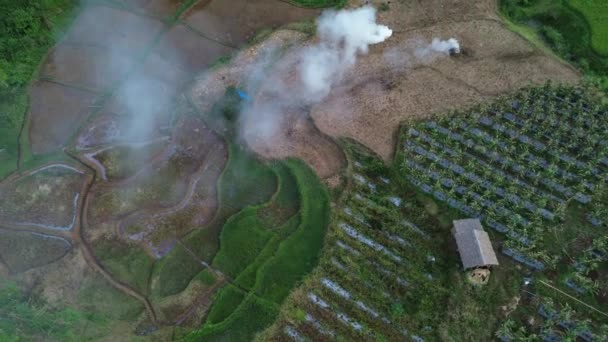 Pirinç Tarlaları Gün Doğumunda Sis Olan Çeltik Tarlalarının Hava Manzarası — Stok video