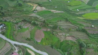 Adanın en büyük adasının dağlarının en güzel manzarası.