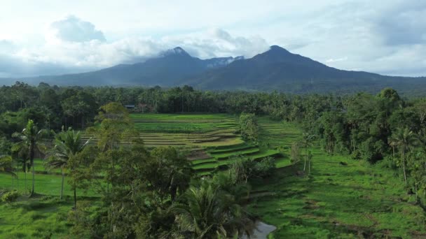 Bali Indonésie Novembre Les Attractions Touristiques Dans Les Monuments Bali — Video