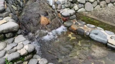 Ormanda güzel bir şelale.