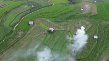 Pirinç tarlaları Bali, Endonezya, havadan görünümü