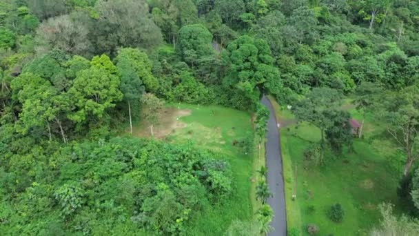 Letecký Pohled Zelený Tropický Prales Příroda Pozadí Cestování Dobrodružství — Stock video