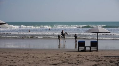 Mavi gökyüzü olan güzel sahil