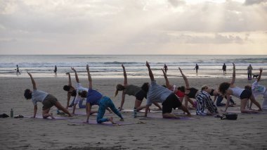 Yoga yapan bir grup insan.