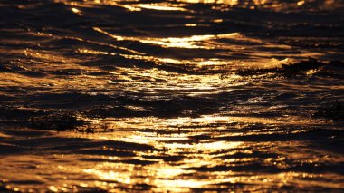burning fire on the background of a fireplace