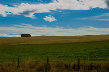 Golden scottish wheat fields and ravines in Dunnottar. Panoramic view from highlands. Scotland. Uk