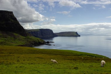 Ocean coast panoramic at Neist point lighthouse with sheep, Scotland, United Kingdom