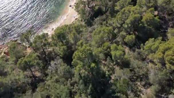 Blue Water Beach Cove Mediterranean Sea Costa Brava Spain Cala — стоковое видео