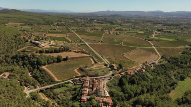 Aerial Video Vineyards Penedes Area — Αρχείο Βίντεο
